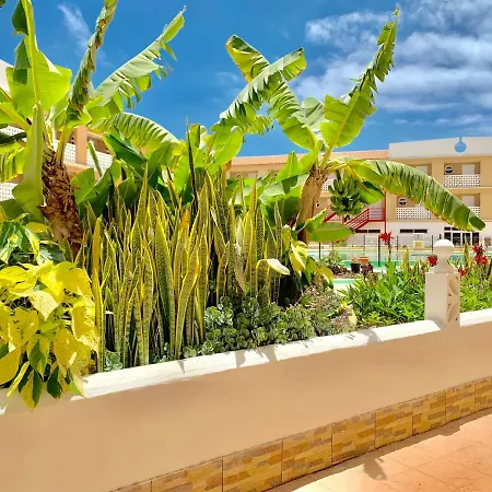 Ocean Front With Pool