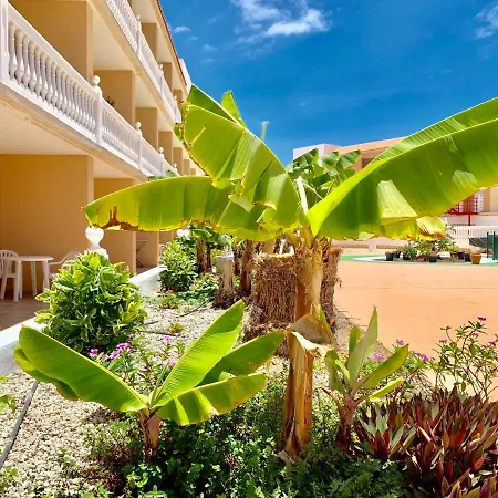 דירה Ocean Front With Pool *